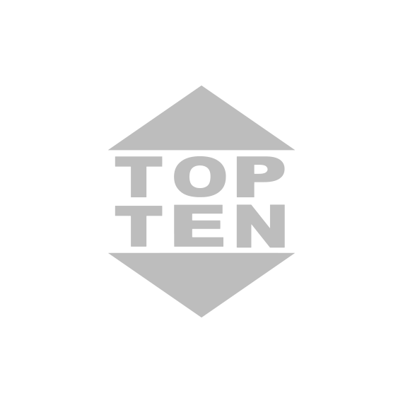 TopTen Logo Grau