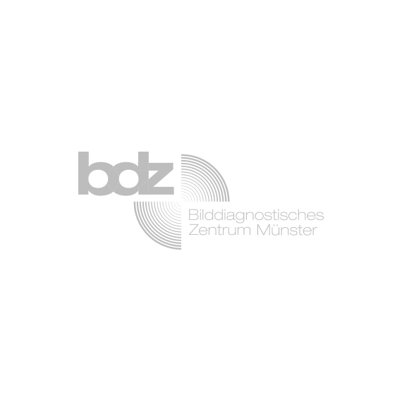 Bdz Logo Grau