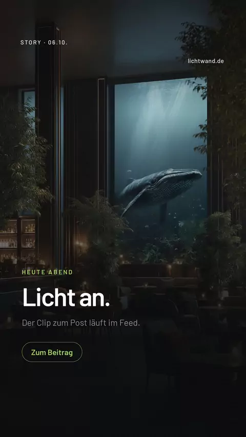 Story-Slide: In einem dunklen Raum leuchtet eine großflächige Wand mit einem Wal unter Wasser, darüber die Zeile „Licht an."