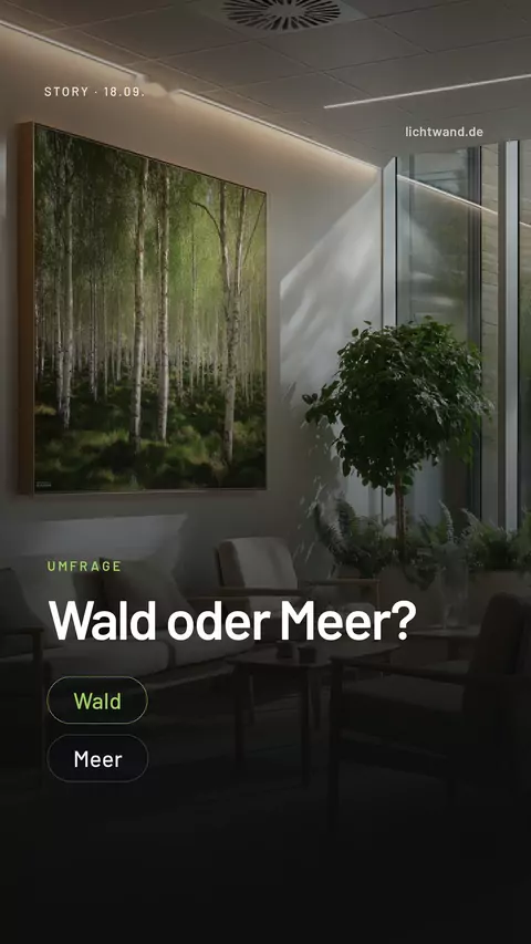 Story-Slide: Wartezimmer mit einer leuchtenden Birkenwald-Wand, darüber die Frage „Wald oder Meer?"