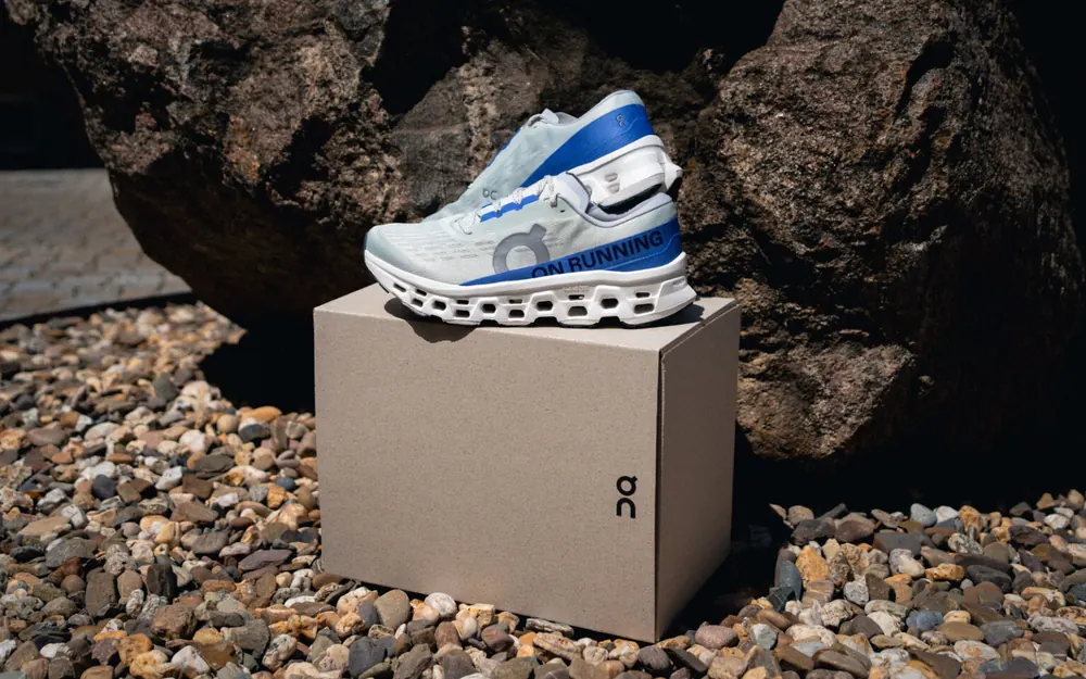 Ein Schuh auf der geschlossenen Schachtel vor dem Felsen