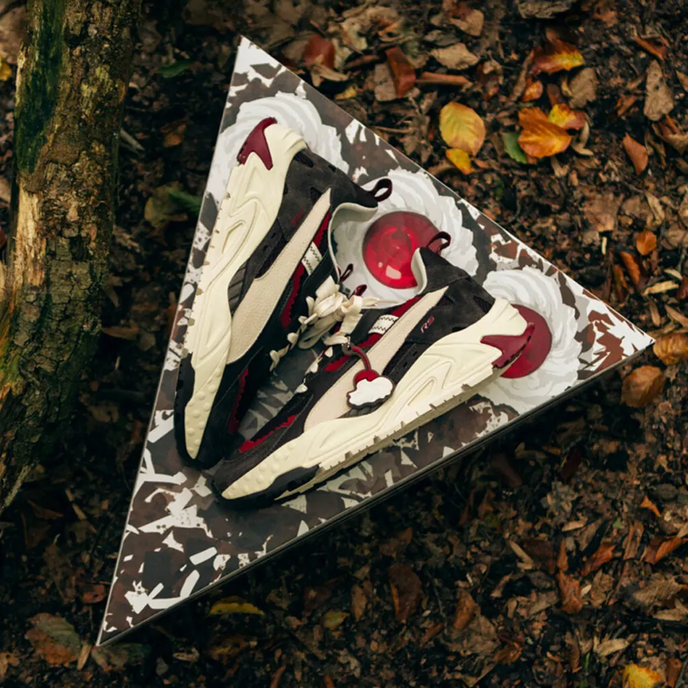 Die dreieckige Box mit einem Sneaker darin, von oben auf Herbstlaub