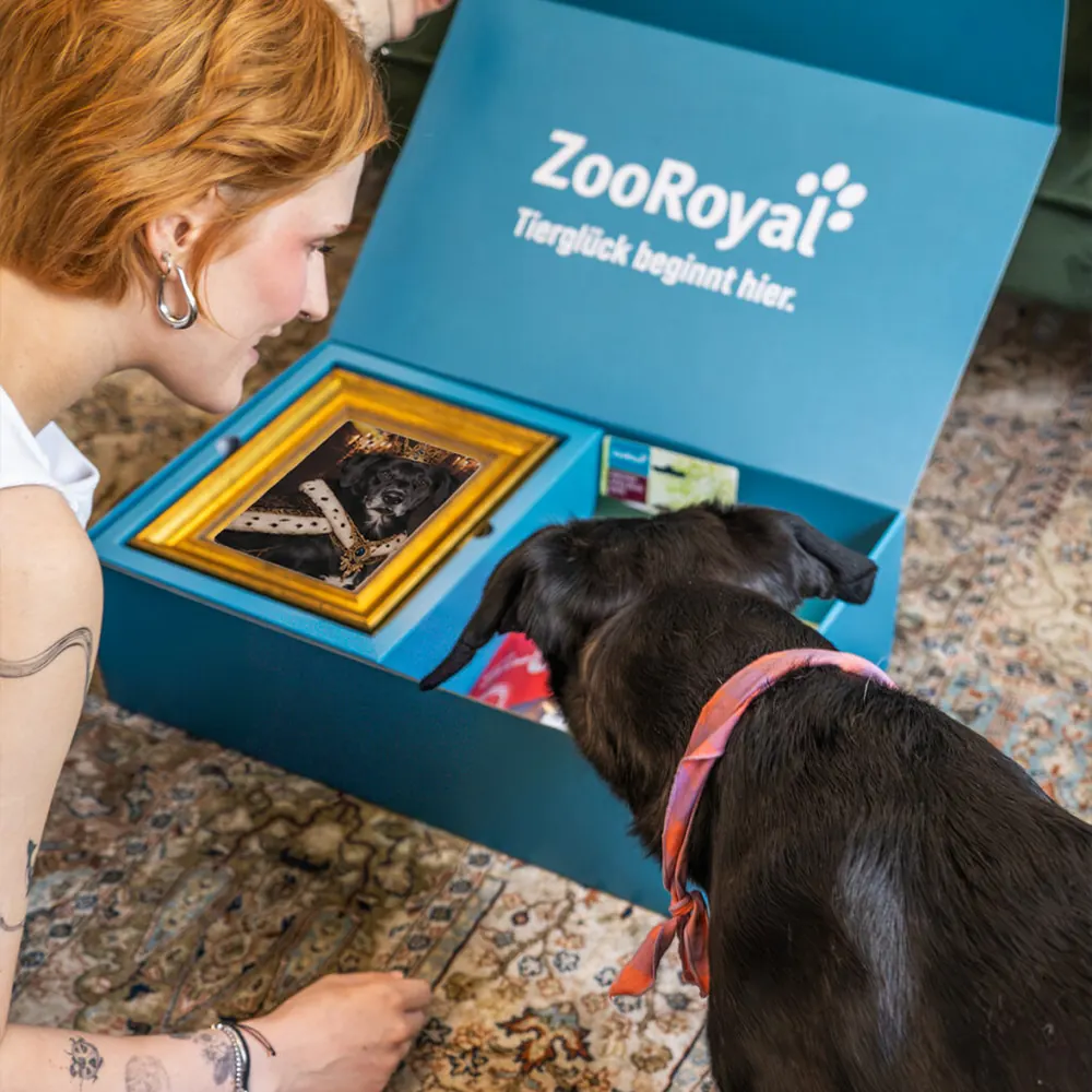 Eine Frau kniet vor der geöffneten Box, ein schwarzer Hund schnuppert am Bilderrahmen