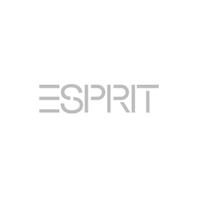 Esprit Logo Grau
